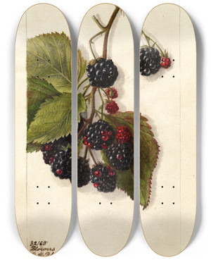 Triptych art skateboard deck of Deborah Griscom Passmore Rubus Blowers_2 by Deborah Griscom Passmore (1840-1911)