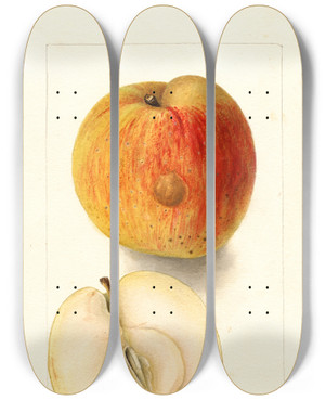 Triptych art skateboard deck of Deborah Griscom Passmore Malus Domestica Floyd by Deborah Griscom Passmore (1840-1911)