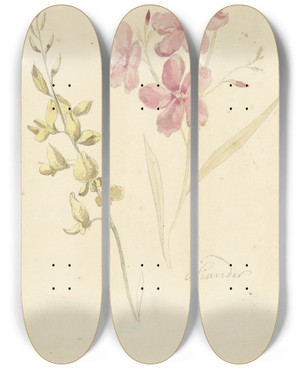Triptych art skateboard deck of Elias Van Nijmegen Oleander En Brem by Elias Van Nijmegen (1667-1755)