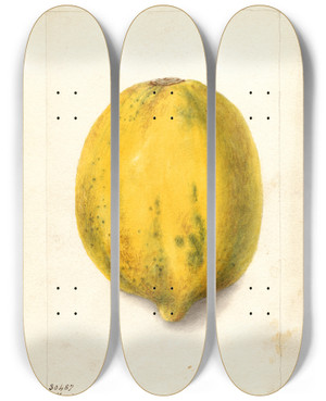 Triptych art skateboard deck of Deborah Griscom Passmore Carica Papaya by Deborah Griscom Passmore (1840-1911)