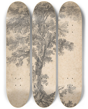 Triptych art skateboard deck of Jeanbaptiste Pillement Study Of A Tree by Jean-Baptiste Pillement (1728-1808)