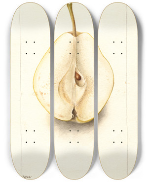 Triptych art skateboard deck of Deborah Griscom Passmore Pyrus Communis Rossney by Deborah Griscom Passmore (1840-1911)