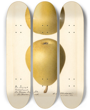 Triptych art skateboard deck of Royal Charles Steadman Pyrus Communis Groveland by Royal Charles Steadman (1875-1964)