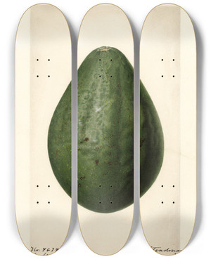 Triptych art skateboard deck of Royal Charles Steadman Persea Taft by Royal Charles Steadman (1875-1964)