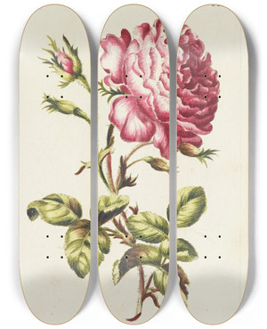 Triptych art skateboard deck of Carington Bowles Rose by Carington Bowles (1724-1793)