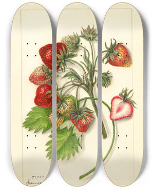 Triptych art skateboard deck of Amanda Almira Newton Fragaria James Todd by Amanda Almira Newton (1860-1943)