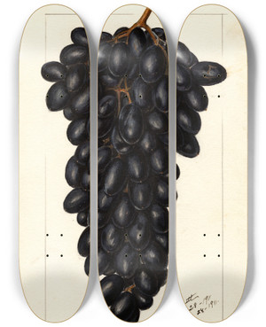 Triptych art skateboard deck of Ellen Isham Schutt Vitis Askarie by Ellen Isham Schutt (1873-1955)
