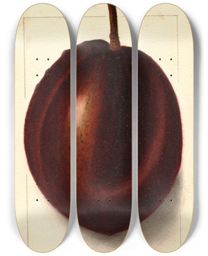 Triptych art skateboard deck of Ellen Isham Schutt Persea Blackman by Ellen Isham Schutt (1873-1955)