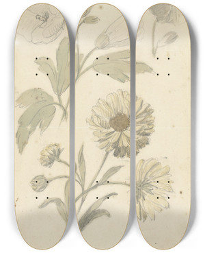 Triptych art skateboard deck of Elias Van Nijmegen Studies Van Zonnebloemen En Dialtia by Elias Van Nijmegen (1667-1755)