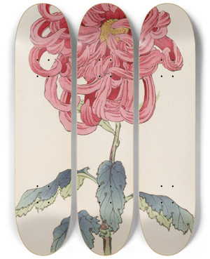 Triptych art skateboard deck of Keika Hasegawa Keika Hyakugiku Pl25 by Keika Hasegawa (1892-1905)