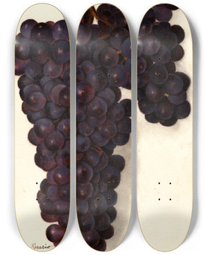 Triptych art skateboard deck of Amanda Almira Newton Vitis Malvasia Rosario by Amanda Almira Newton (1860-1943)