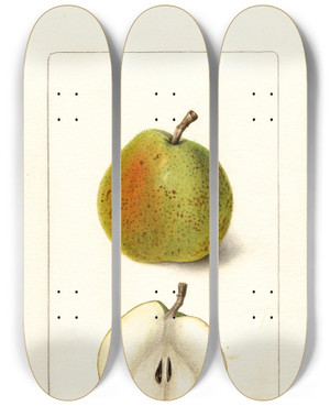 Triptych art skateboard deck of Deborah Griscom Passmore Pyrus Communis Wiest by Deborah Griscom Passmore (1840-1911)