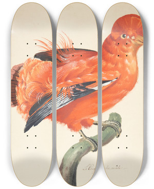 Triptych art skateboard deck of Johan Christian Ernst Walter Eksotisk Fugl_7 by Johan Christian Ernst Walter