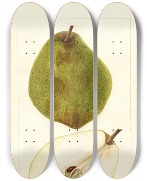 Triptych art skateboard deck of Bertha Heiges Pyrus Communis Kieffer Most Green by Bertha Heiges (1866-1956)