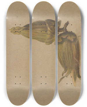 Triptych art skateboard deck of Henryka Beyer Study Of Hazelnuts by Henryka Beyer (1782-1855)