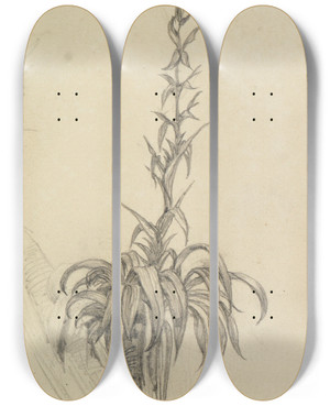 Triptych art skateboard deck of Ferdinand Keller Pflanzenstudie Am Ast I by Ferdinand Keller (1842-1922)