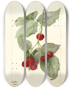 Triptych art skateboard deck of Deborah Griscom Passmore Rubus Miller by Deborah Griscom Passmore (1840-1911)