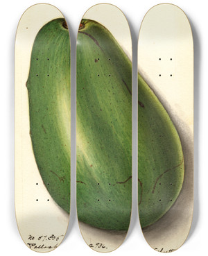 Triptych art skateboard deck of Ellen Isham Schutt Persea Pollock_3 by Ellen Isham Schutt (1873-1955)