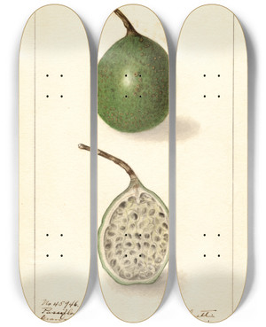 Triptych art skateboard deck of Ellen Isham Schutt Passiflora by Ellen Isham Schutt (1873-1955)