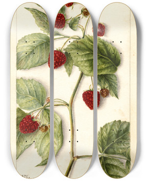 Triptych art skateboard deck of Bertha Heiges Rubus Cuthbert by Bertha Heiges (1866-1956)