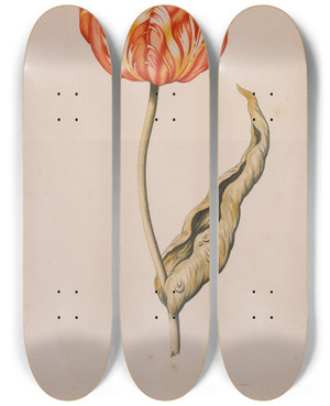 Triptych art skateboard deck of Dutch School An Orange And Yellow Tulip With A Butterfly by Dutch School