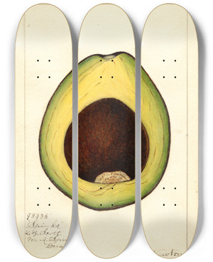 Triptych art skateboard deck of Amanda Almira Newton Persea Spinks by Amanda Almira Newton (1860-1943)