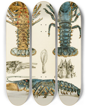 Triptych art skateboard deck of Frederick Mccoy Crustacea Ii by Frederick Mccoy (1817-1899)