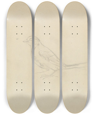 Triptych art skateboard deck of James Sowerby A Marsh Tit by James Sowerby (1757-1822)