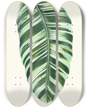 Triptych art skateboard deck of Edward Joseph Lowe Musa Vittata by Edward Joseph Lowe (1825-1900)