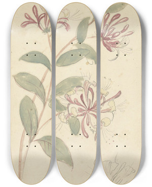 Triptych art skateboard deck of Elias Van Nijmegen Kamperfoelie by Elias Van Nijmegen (1667-1755)