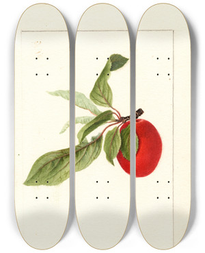 Triptych art skateboard deck of Deborah Griscom Passmore Prunus Domestica Lannix by Deborah Griscom Passmore (1840-1911)