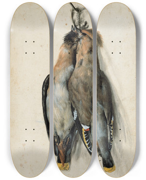 Triptych art skateboard deck of Lucas Cranach The Elder Two Dead Bohemian Waxwings by Lucas Cranach The Elder (1472-1553)