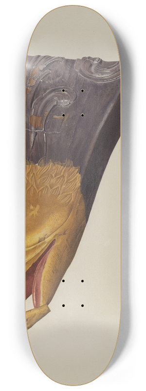 Frances Cohen - Eagle 8.25 inch art skate deck