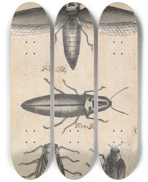 Triptych art skateboard deck of Richard Brookes Fireflies by Richard Brookes (1721-1763)