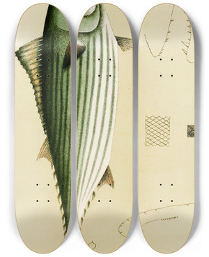 Triptych art skateboard deck of Frederick Mccoy Fishes Ii by Frederick Mccoy (1817-1899)