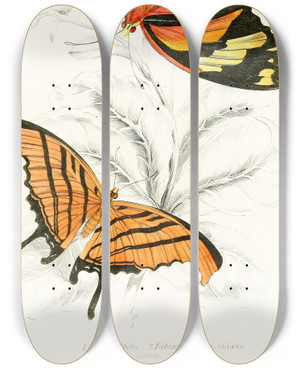 Triptych art skateboard deck of James Duncan Marius Thetis Fabius Hippona by James Duncan (1806-1881)