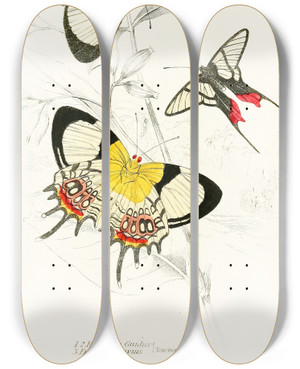 Triptych art skateboard deck of James Duncan Helicopis Gnidus Erycina Octavius by James Duncan (1806-1881)