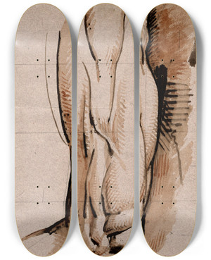 Triptych art skateboard deck of David Humbert De Superville De Spieren Van Een Bovenbeen En Knie by David Humbert De Superville (1770-1849)