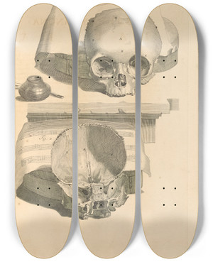 Triptych art skateboard deck of Gerard De Lairesse Anatomia Humani Corporis Pl090 by Gerard de Lairesse (1641-1711)
