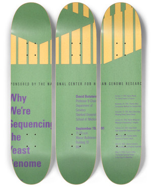 Triptych art skateboard deck of National Institutes Of Health Why Were Sequencing The Yeast Genome by National Institutes Of Health (1887)