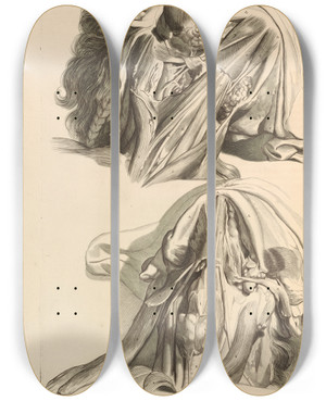 Triptych art skateboard deck of Gerard De Lairesse Anatomia Humani Corporis Pl016 by Gerard de Lairesse (1641-1711)