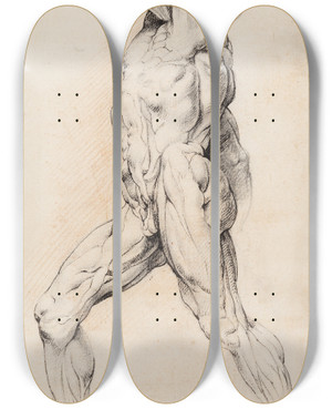 Triptych art skateboard deck of Willem Panneels Anatomisk Studie Corch En Gende Flet Mand Med Lftet Venstre Arm Venstre Drejet by Willem Panneels (1600-1634)