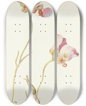 Triptych art skateboard deck of Margaret Armstrong Butterfly Tulip by Margaret Armstrong (1867-1944)
