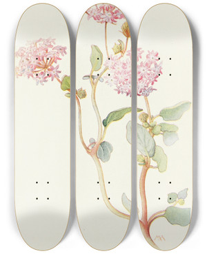 Triptych art skateboard deck of Margaret Armstrong Sandverbena by Margaret Armstrong (1867-1944)