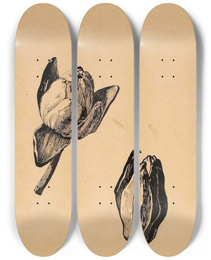 Triptych art skateboard deck of Lilly Walther Tulbid_1 by Lilly Walther (1866-1946)