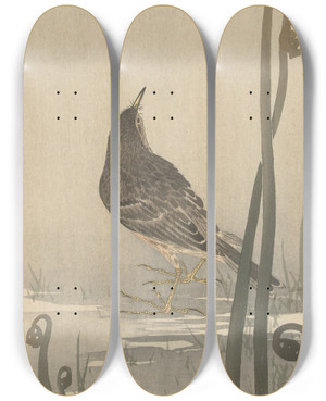 Triptych art skateboard deck of Ohara Koson Water Squeaker by Ohara Koson (1877-1945)