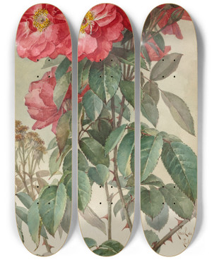 Triptych art skateboard deck of Paul De Longpre Branches Of Ragged Robin Roses by Paul de Longpre (1855-1911)
