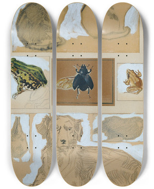Triptych art skateboard deck of Josef Wawra Tierstudien 12 Skizzen by Josef Wawra (1893-1935)
