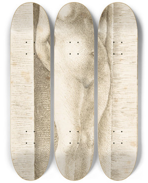 Triptych art skateboard deck of Albrecht Drer Fortuna In A Niche by Albrecht Durer (1471-1528)