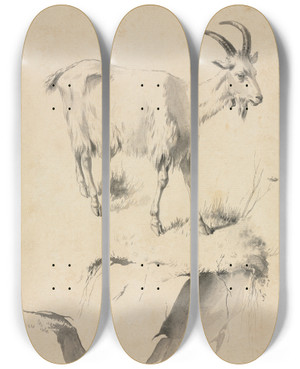 Triptych art skateboard deck of Jeanjacques De Boissieu Study Of A Goat by Jean-Jacques de Boissieu (1736-1810)
